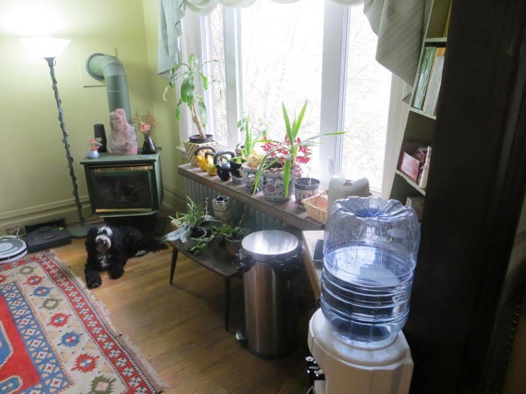 Downtown Bed And Breakfast Ottawa Dış mekan fotoğraf